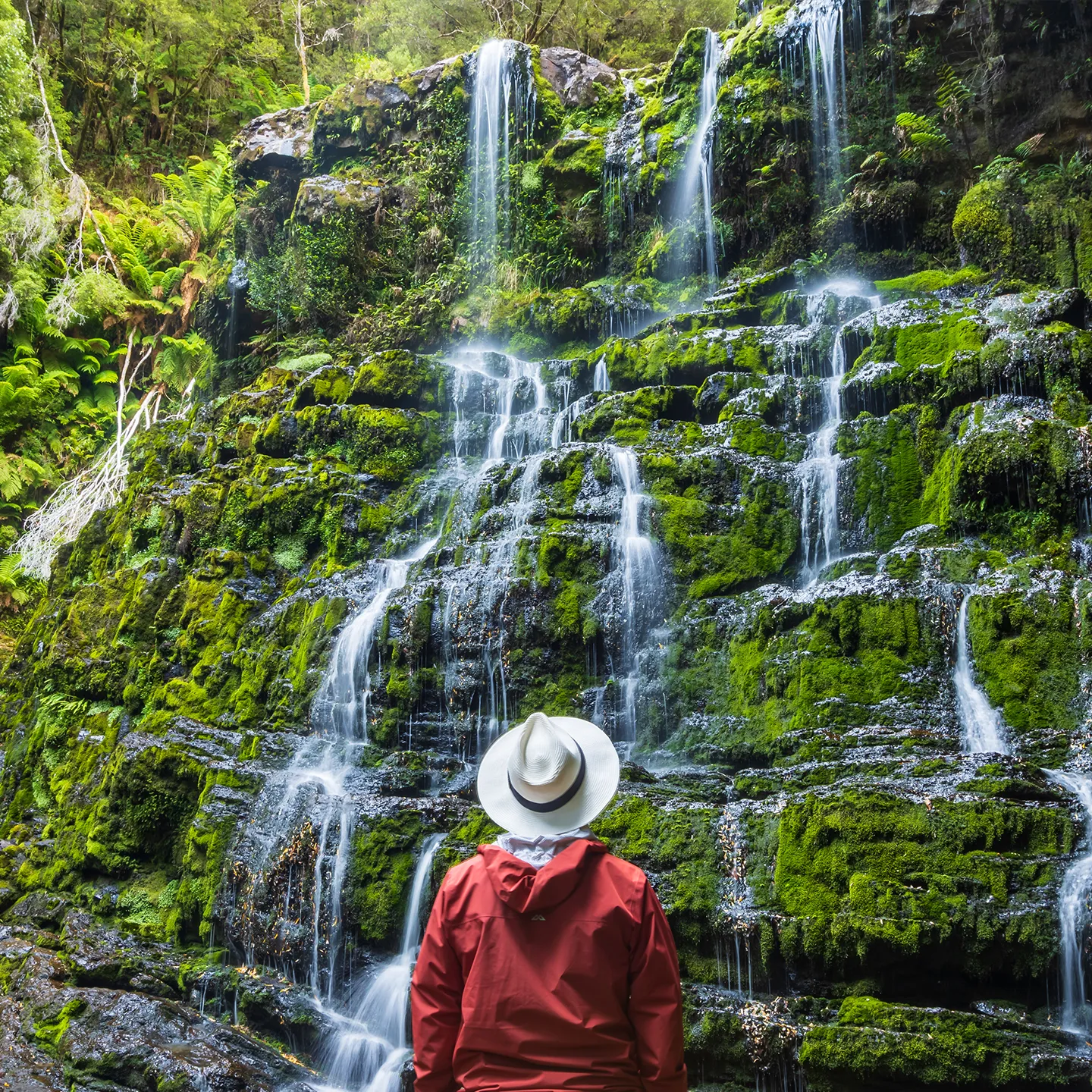 tasmania-waterfall-square