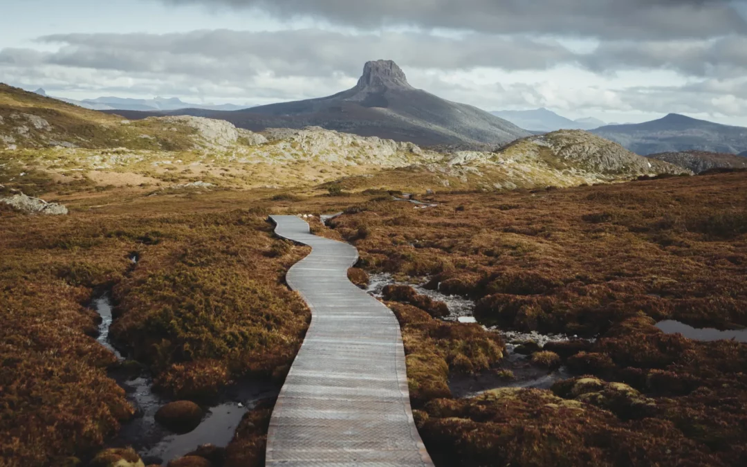 Nabooki and Tourism Tasmania